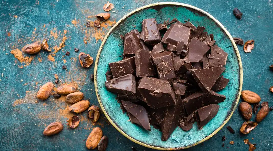 Bol de morceaux de chocolat noir entouré de fèves de cacao sur fond turquoise