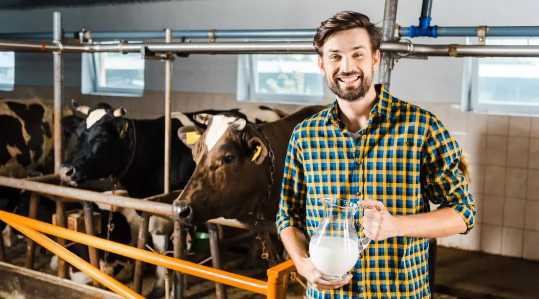 Homme en chemise à carreaux tenant un pichet de lait dans une ferme, avec des vaches en arrière-plan