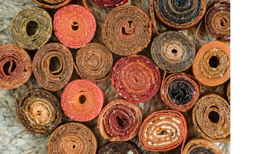 rouleaux aux fruits maison