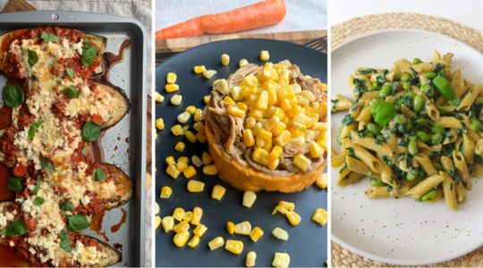 Recettes KoalaPro one pot, mijoteuse et plaque au four