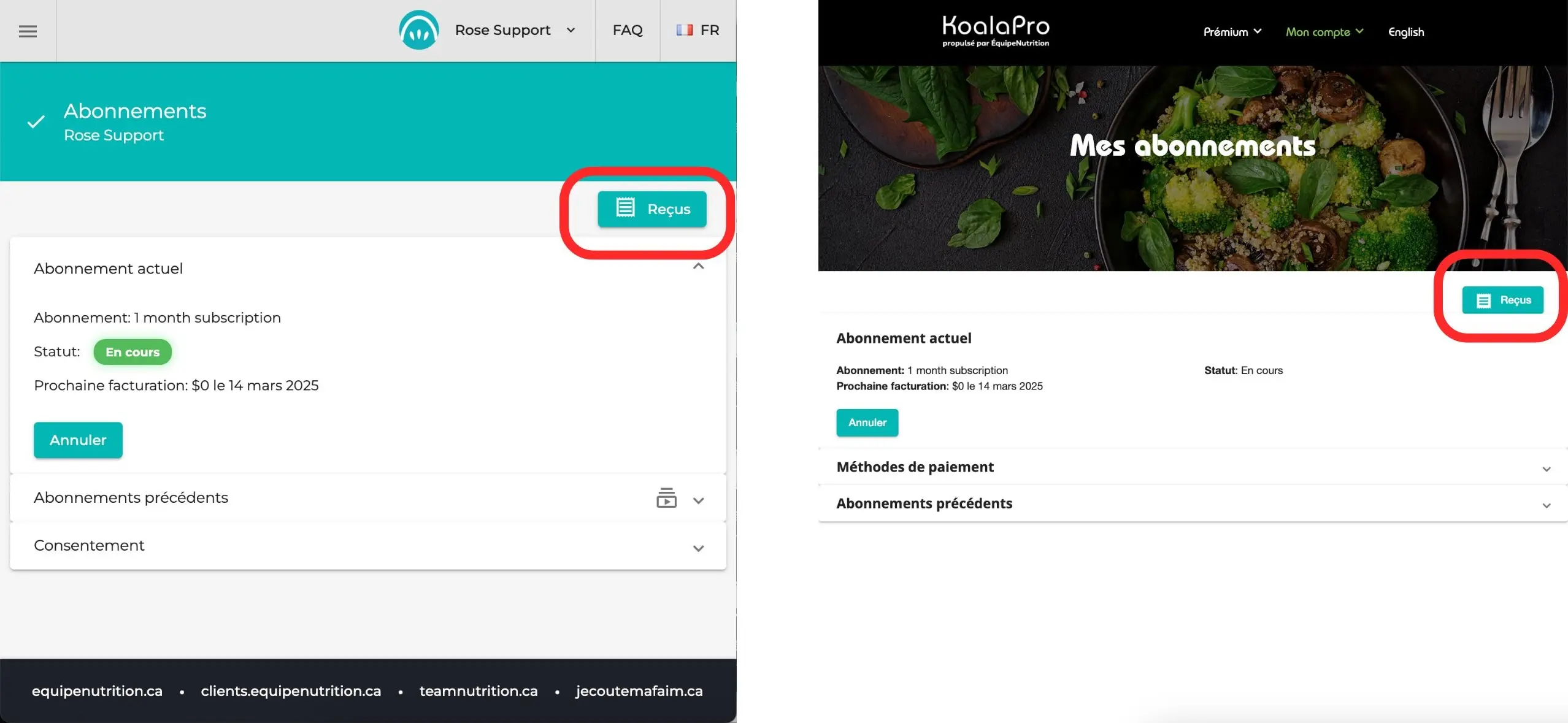 Comment puis-je accéder aux reçus de paiement de mon abonnement KoalaPro Premium ou Support+
