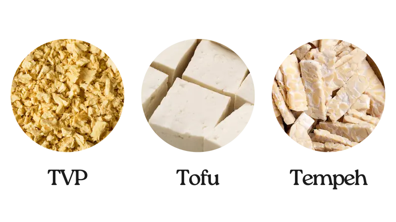 Side-by-side images of TVP, tofu, and tempeh to illustrate different plant-based meat alternatives