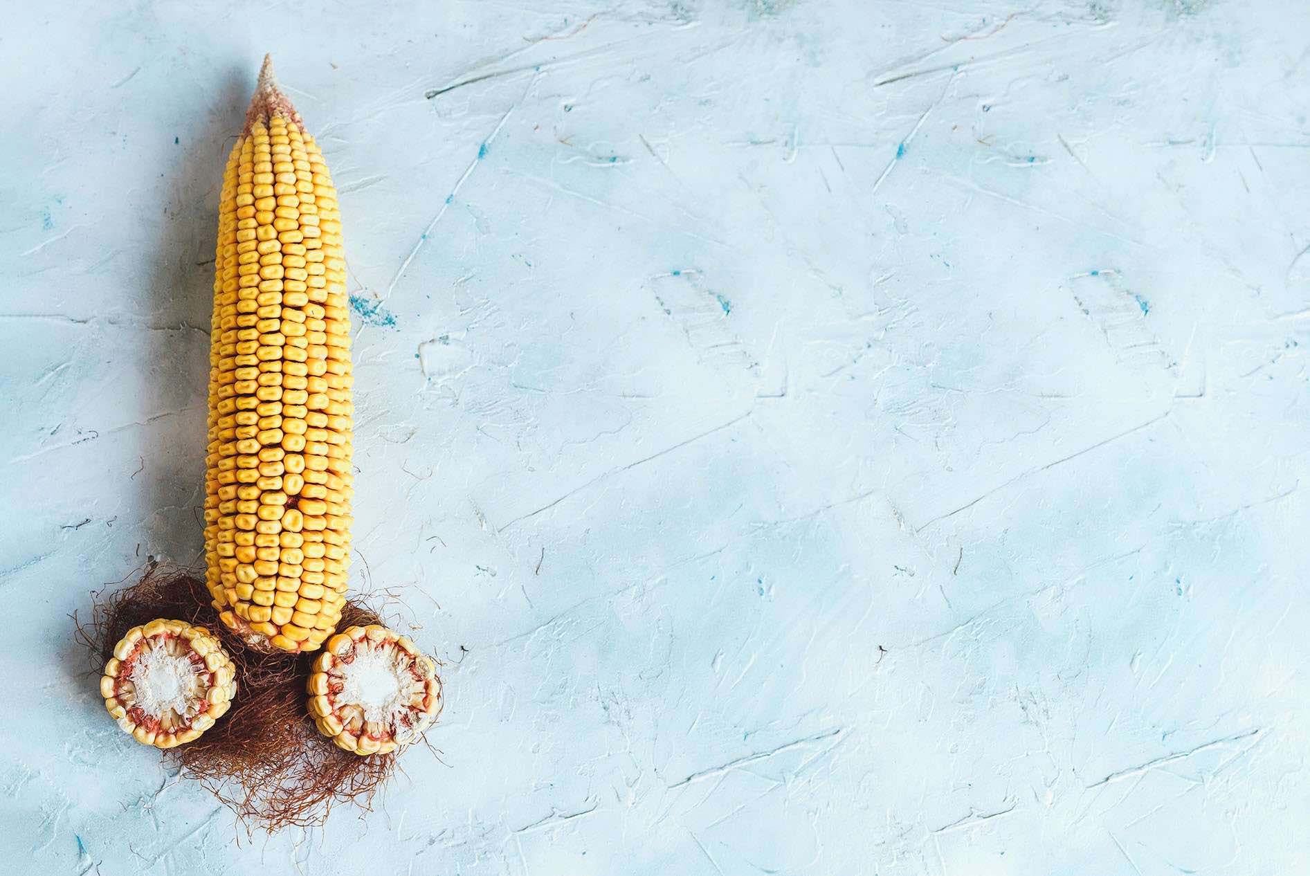 Corn Maïs Phalus