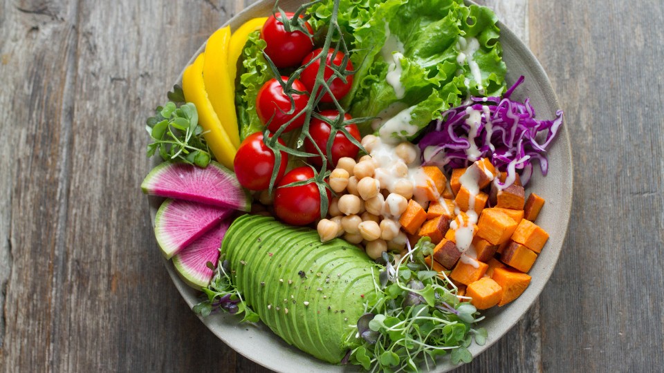Affiche présentant l'introduction à l'alimentation durable