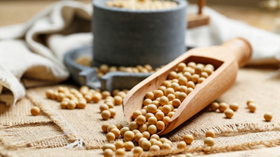 soy