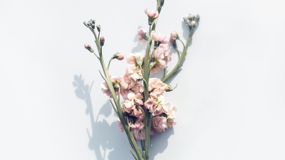 bouquet de fleurs
