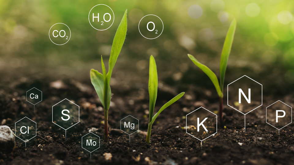 Connaissez-vous la nutrigénomique ?