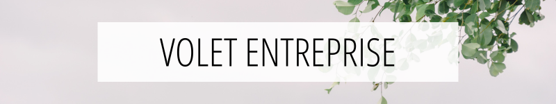 entreprise