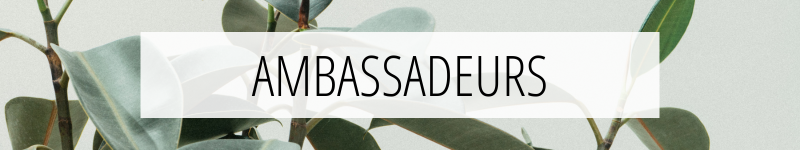 ambassaeur