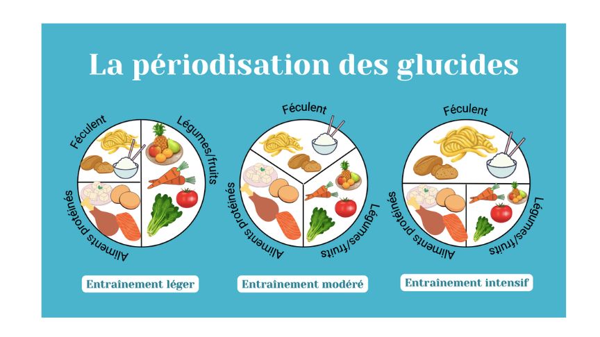 périodisation des glucides