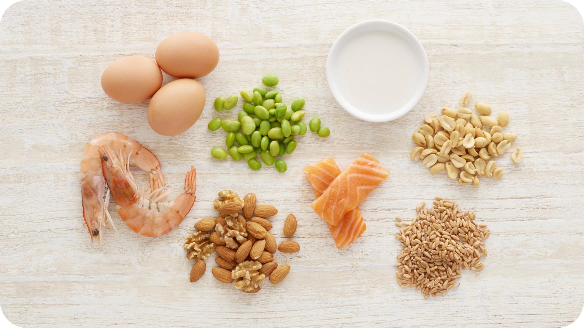 Assortiment d'allergènes alimentaires courants, dont œufs, crevettes, noix et saumon