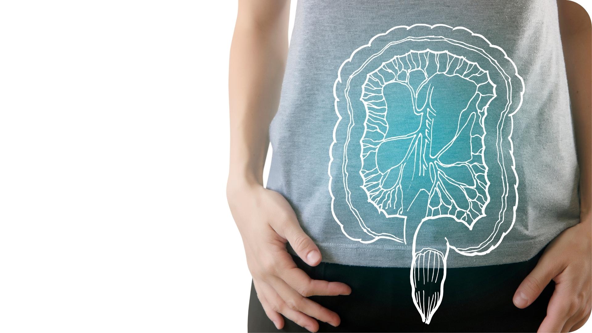 Illustration du système digestif superposée sur l'abdomen d'une personne, représentant la santé intestinale