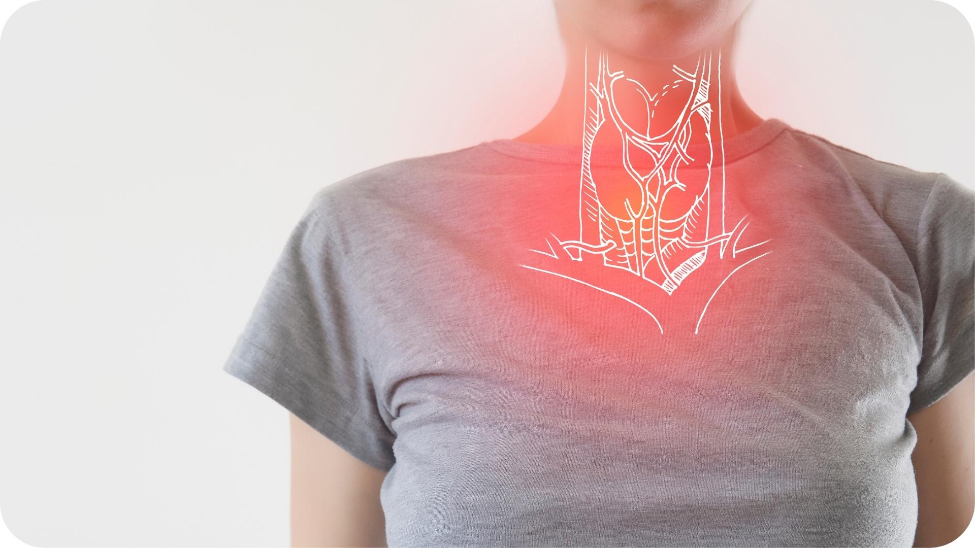 Illustration de la thyroïde superposée sur le cou d'une personne