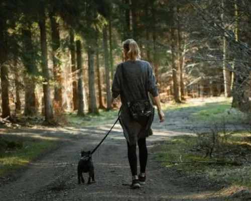 bouger sans s'entrainer, activité physique, intuition, nutrition