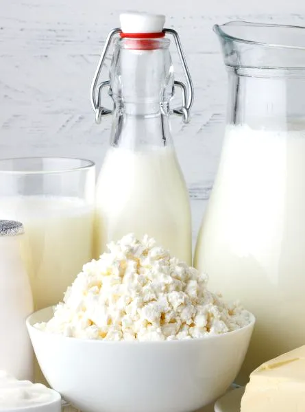 Milk bottles and jugs on a light wooden table with a small bowl of grated cheese and several cheese cubes, set against a pale background.
