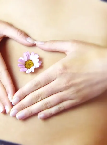 Hands forming a heart shape on a bare stomach with a small pink daisy at the center - ains formant un cœur sur un ventre nu avec une petite marguerite rose au centre
